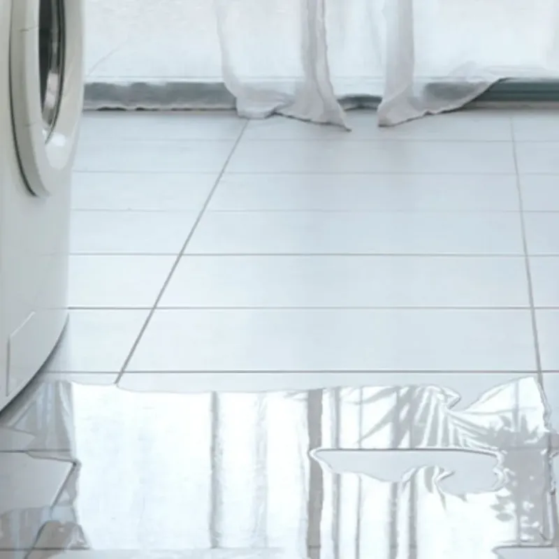 Appliance Leak Cleanup in Seymour, TN