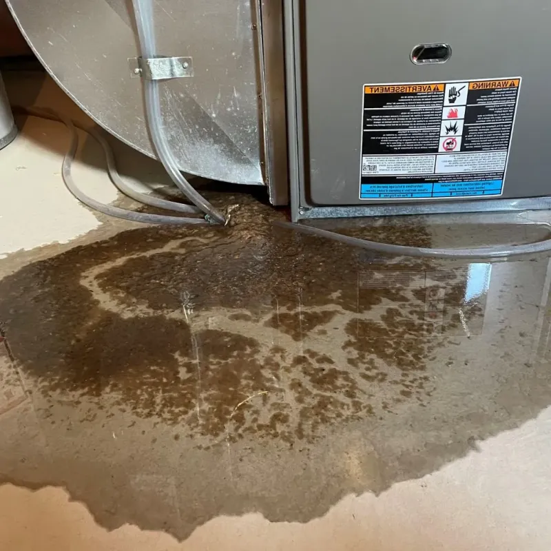 Pipe Burst and Leak Restoration in Seymour, TN