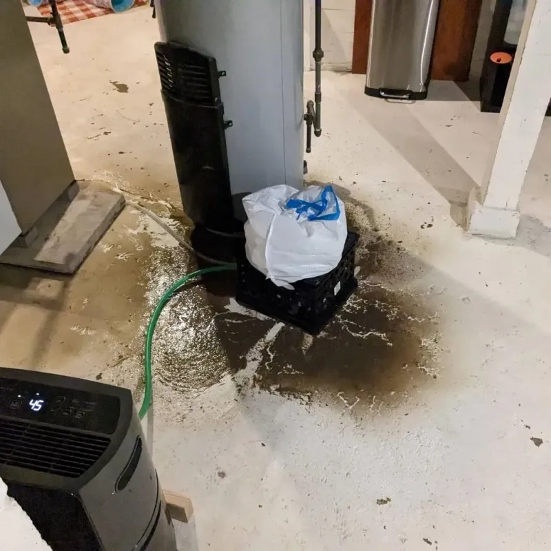 Sewage Backup Cleanup Service in Seymour, TN
